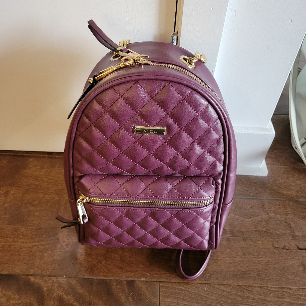 Aldo Backpack